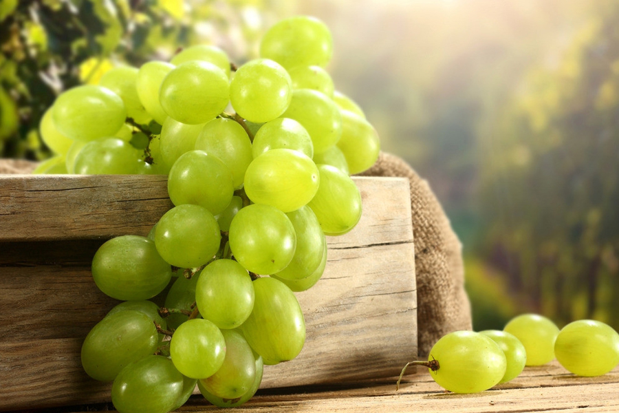 Как сохранить виноград: правила и способы хранения. Где хранить виноград:подготовка и выбор места