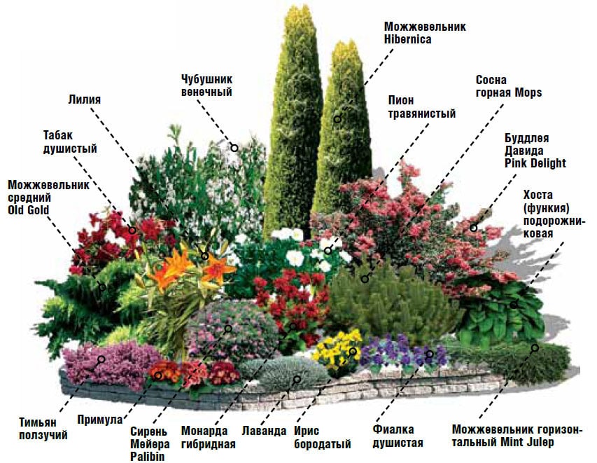 Все о саде и ландшафтном дизайне