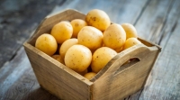 Болезни картофеля и методы их лечения