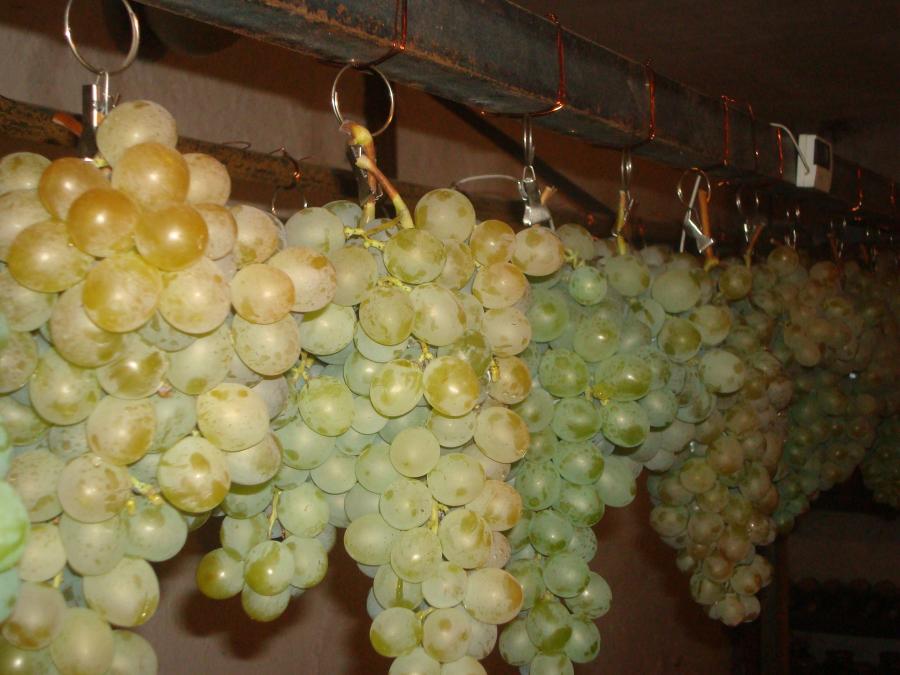 хранение винограда зимой