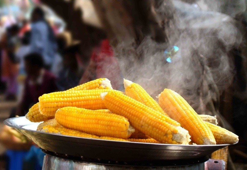 как правильно варить кукурузу