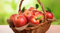 Как сохранить яблоки свежими всю зиму